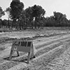 Déboisement en cours - Zone d'entreposage nord